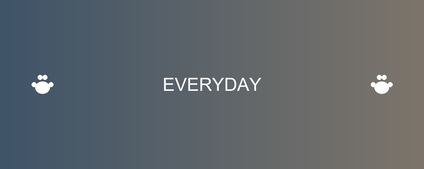 Everyday pet tools — sitter binders, travel planners, and home decor
